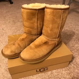 Chestnut Uggs Size 11W